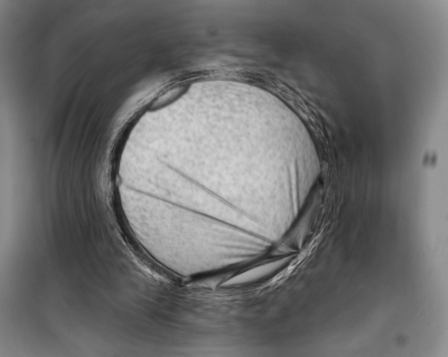 X0000099450245200806061112