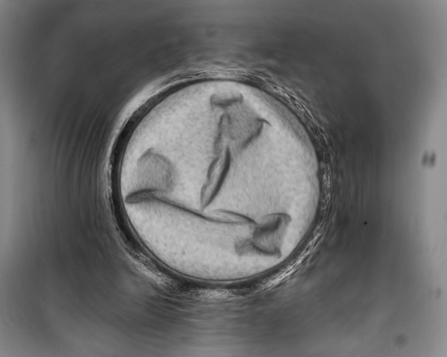 X0000099450246200806061112