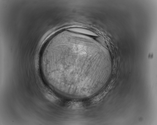 X0000099450247200806061112