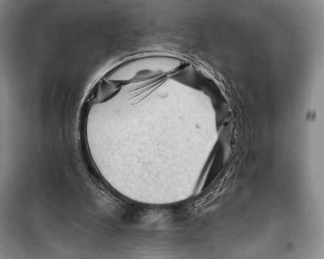 X0000099450248200806061112