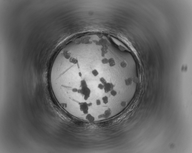 X0000099450249200806061112