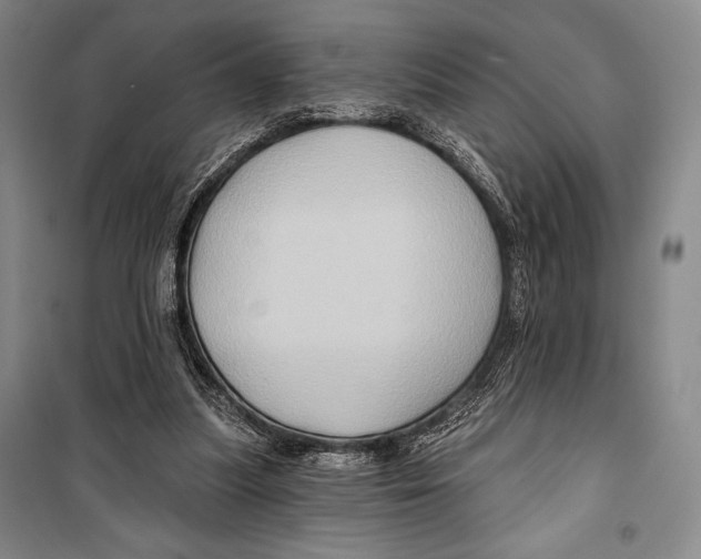 X0000099450251200806061112