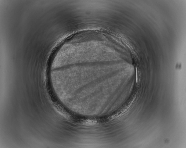 X0000099450252200806061112