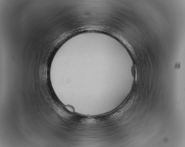 X0000099450253200806061112