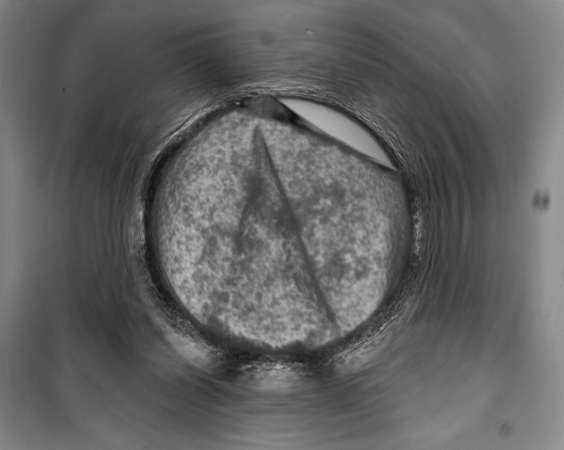 X0000099450254200806061112