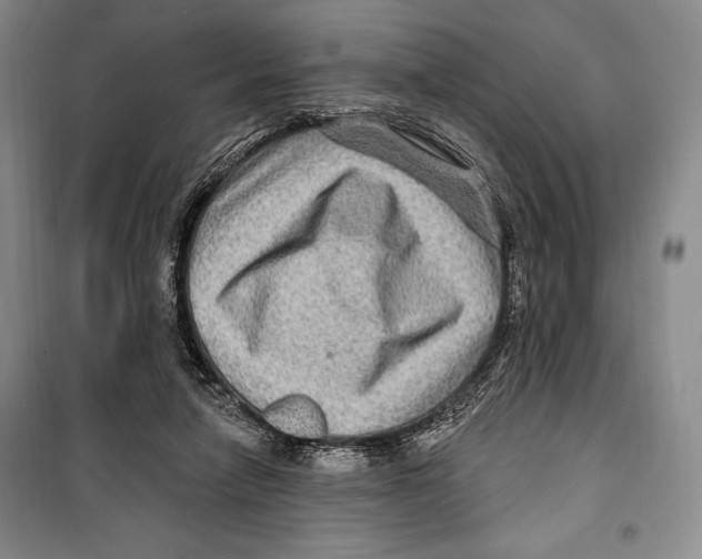 X0000099450258200806061112