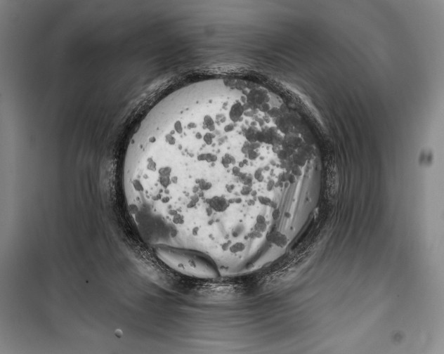 X0000099450260200806061113