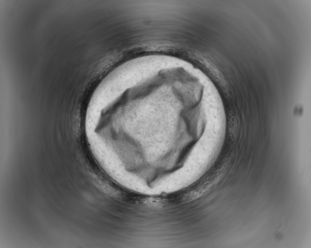 X0000099450261200806061113