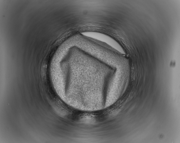 X0000099450263200806061113