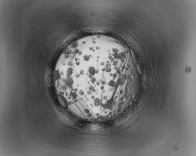 X0000099450264200806061113