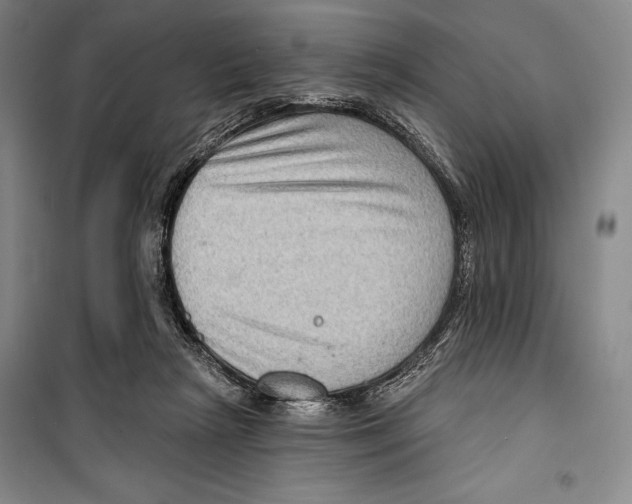 X0000099450265200806061113