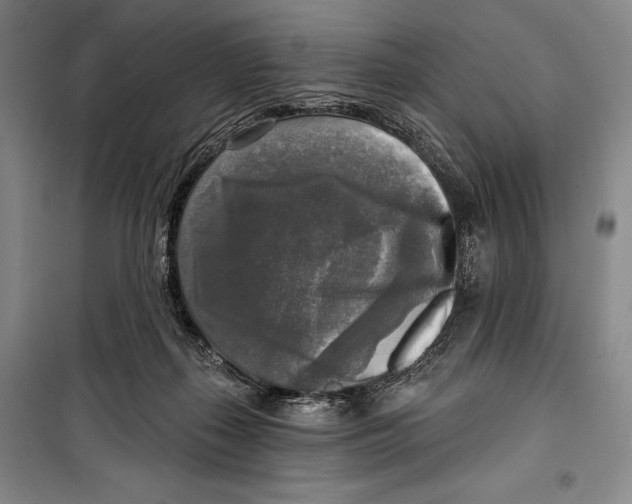 X0000099450267200806061113