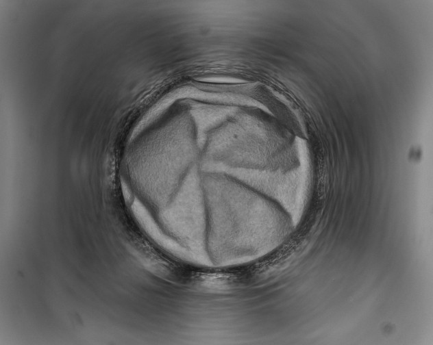 X0000099450268200806061113