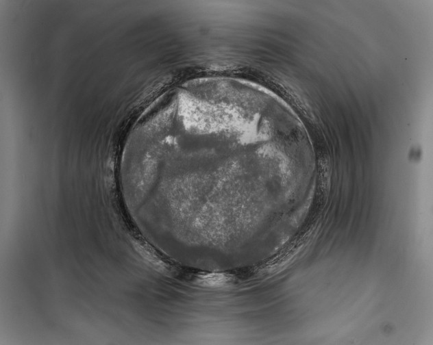 X0000099450269200806061113