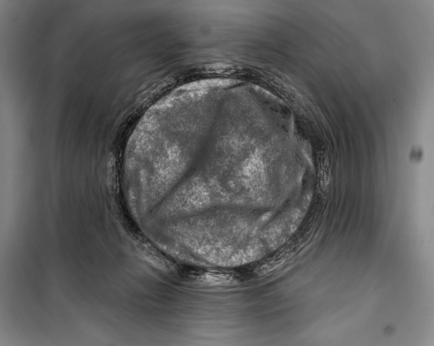 X0000099450270200806061113