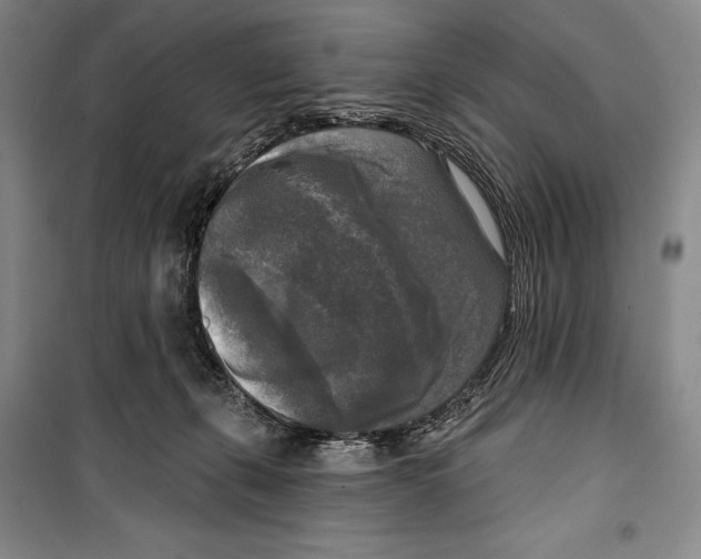 X0000099450271200806061113