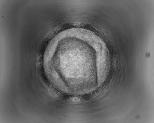 X0000099450272200806061113