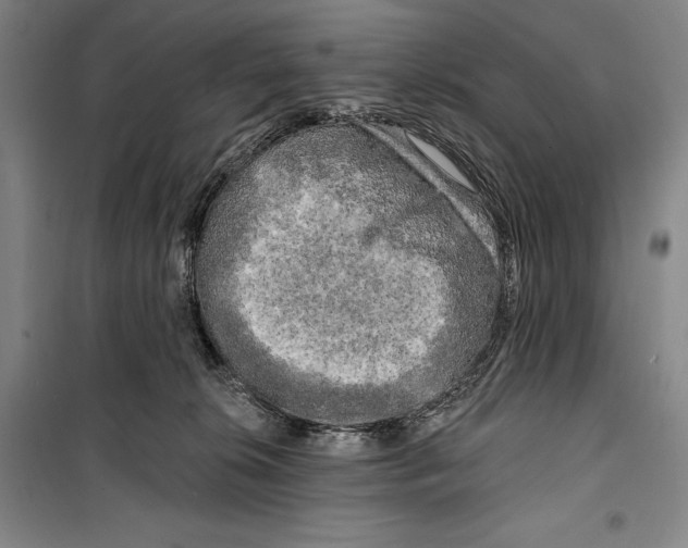 X0000099450276200806061113