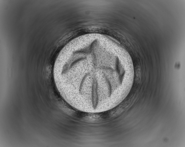 X0000099450278200806061113