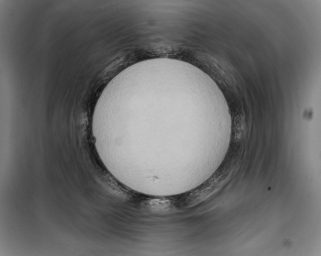 X0000099450279200806061113