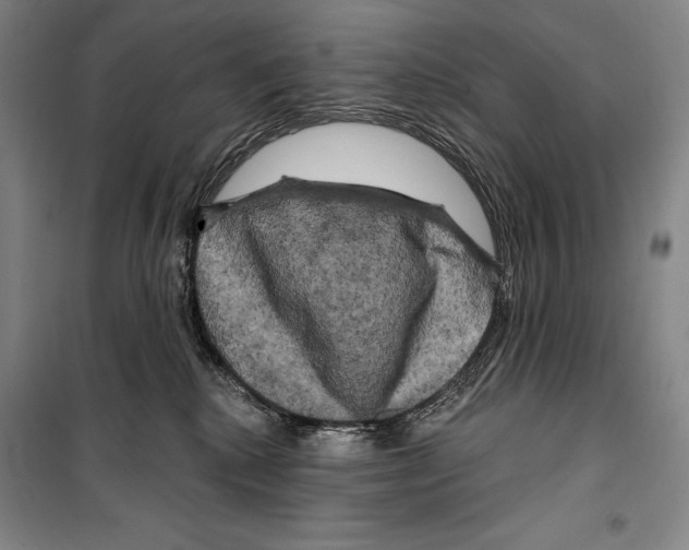 X0000099450280200806061113