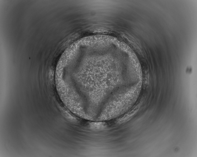 X0000099450281200806061113