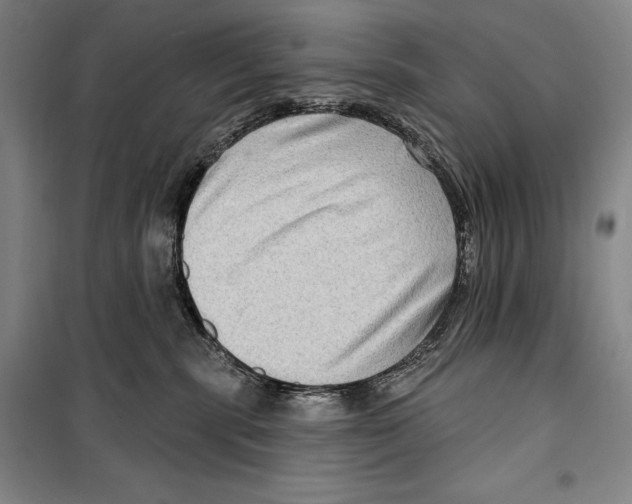 X0000099450283200806061113