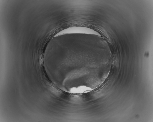 X0000099450285200806061113