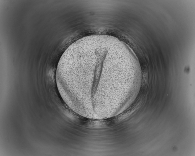 X0000099450286200806061113