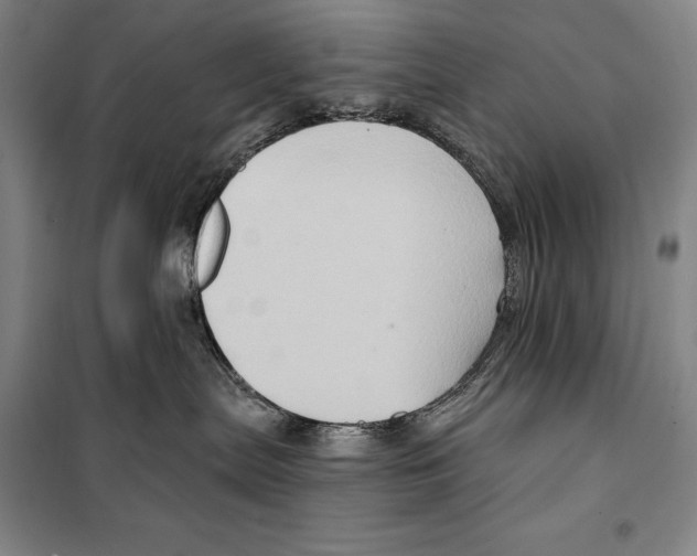 X0000099450287200806061113