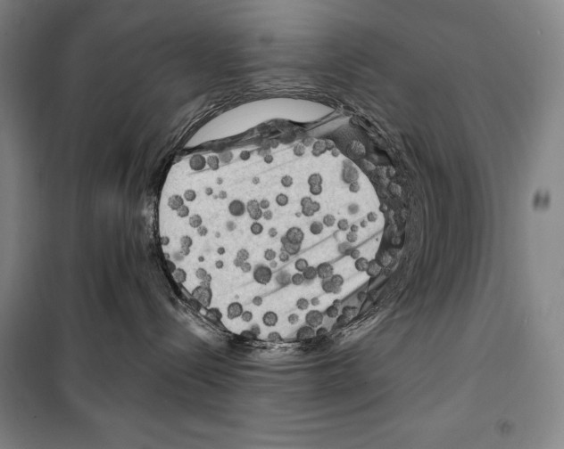 X0000099450288200806061113