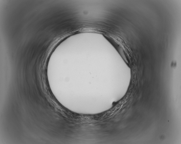 X0000099450289200806061112