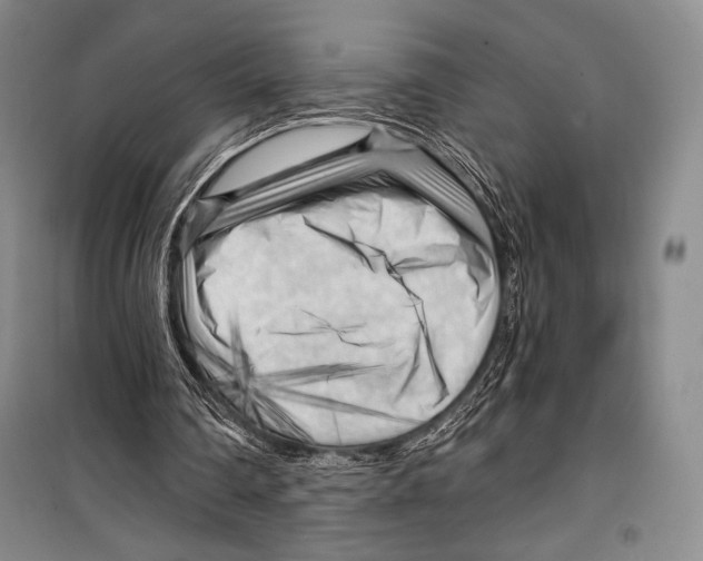 X0000099450290200806061112