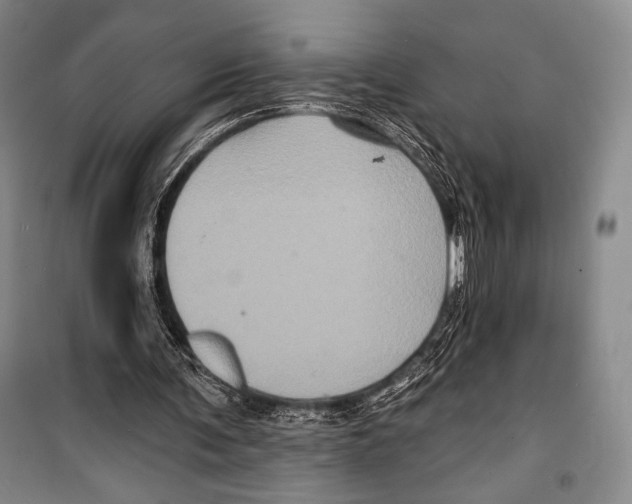 X0000099450291200806061112