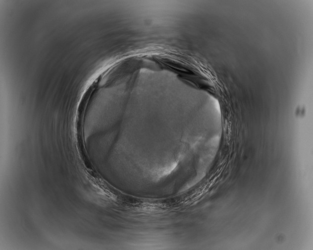 X0000099450292200806061112