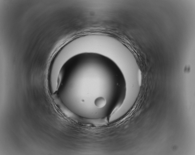 X0000099450293200806061112