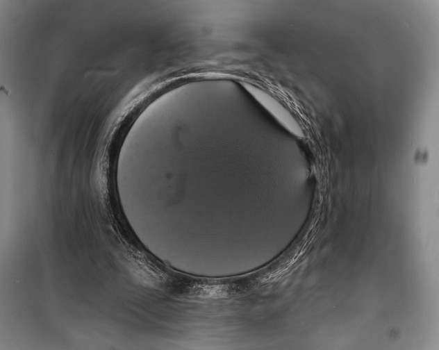 X0000099450295200806061112