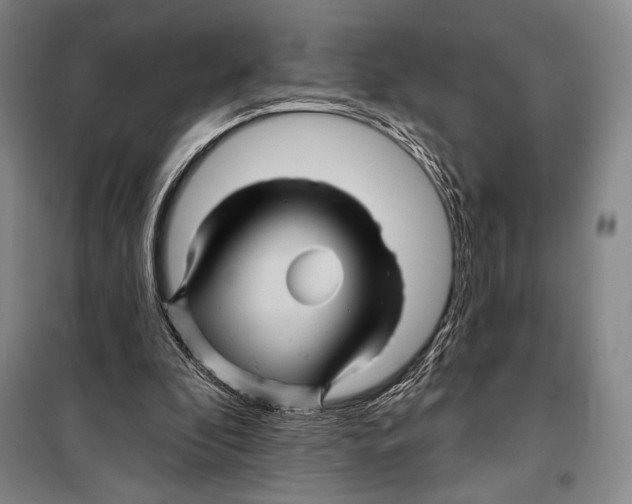 X0000099450296200806061112