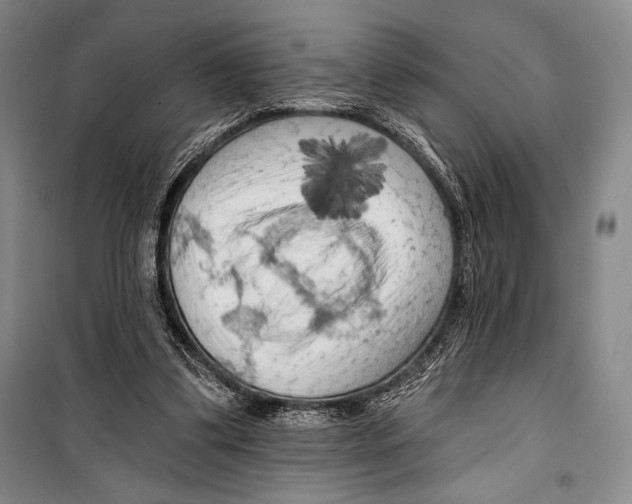 X0000099450299200806061112