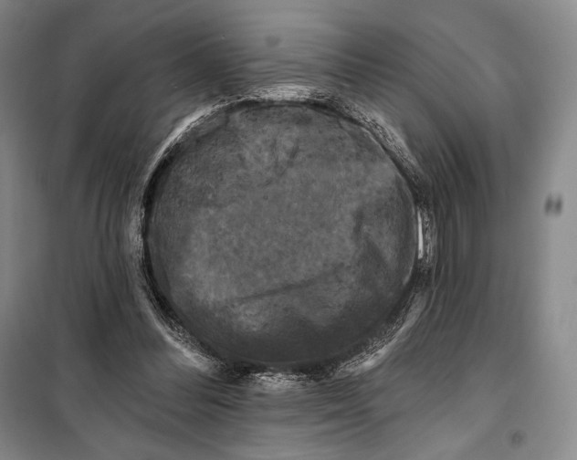 X0000099450300200806061112