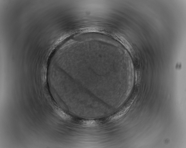 X0000099450301200806061112