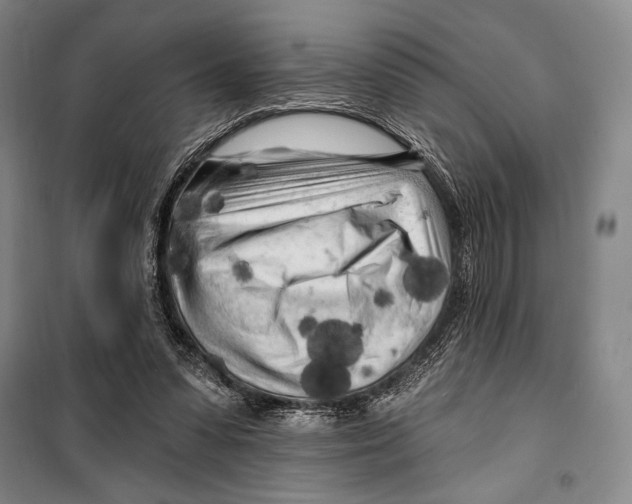 X0000099450303200806061112