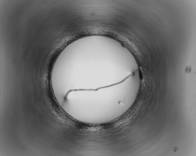 X0000099450306200806061112