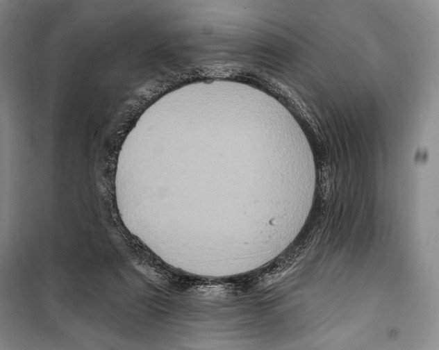 X0000099450307200806061112