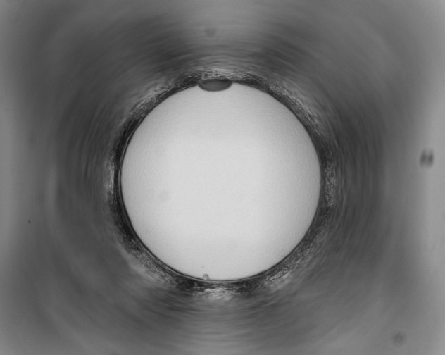 X0000099450310200806061112