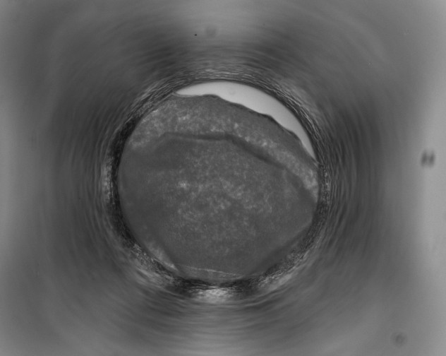 X0000099450312200806061112