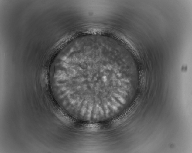 X0000099450313200806061112