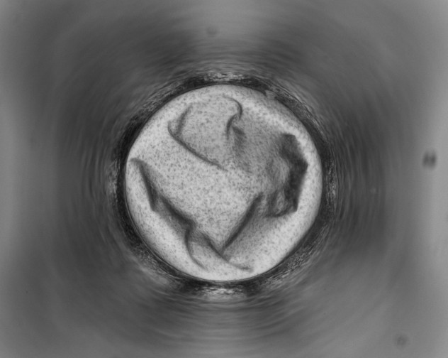 X0000099450315200806061112