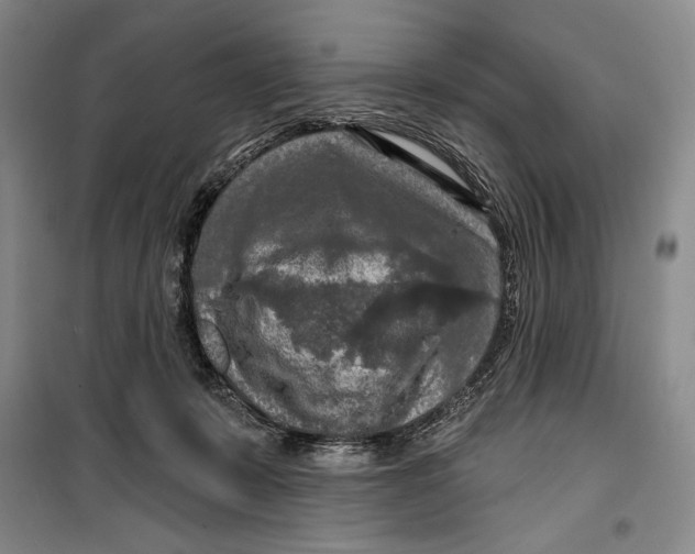 X0000099450319200806061112