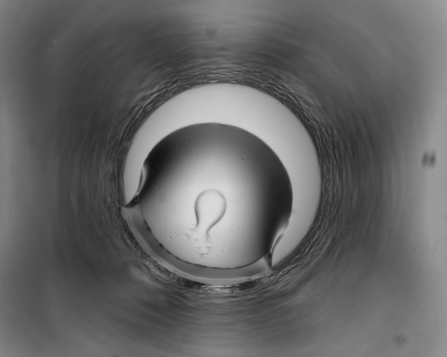 X0000099450320200806061112